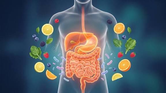 How Can I Improve My Digestion and Gut Health Naturally?