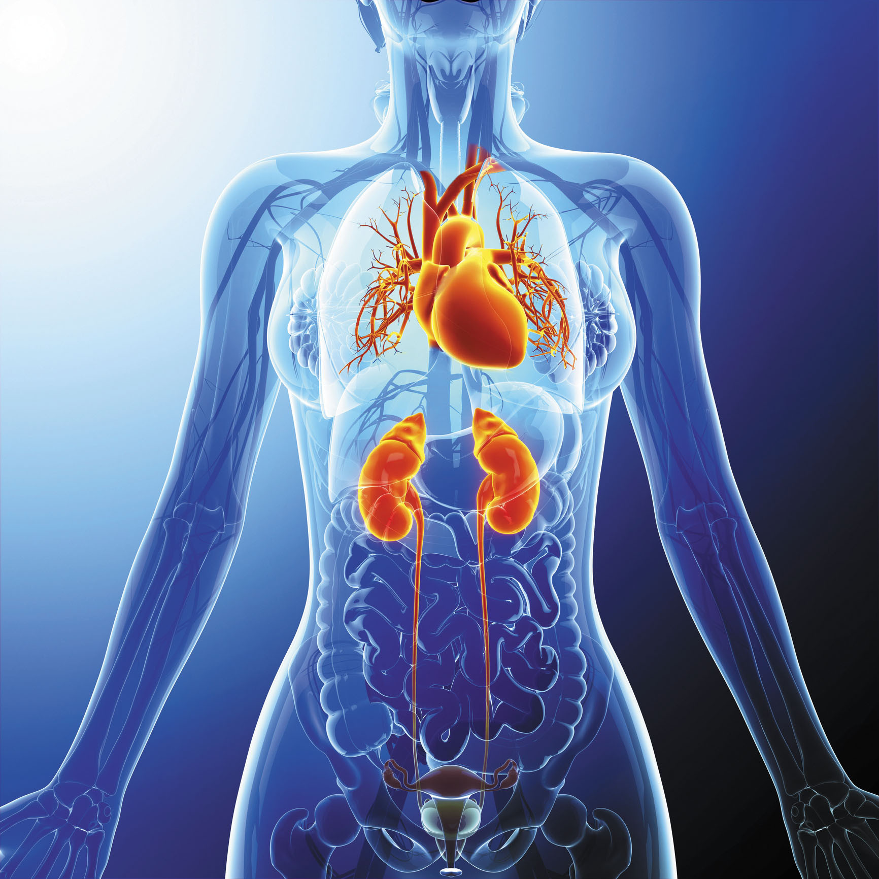 How Does Diabetes Affect the Kidneys and Eyesight?